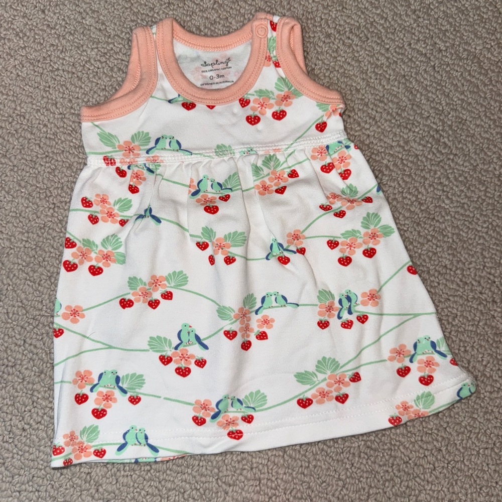 Organic Cotton Baby sundress with berry detai
